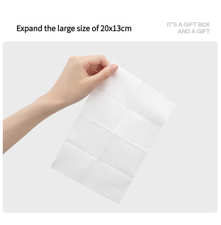 High-End Wet Toilet Paper, Premium Quality Hygienic Wipes, Soft and Absorbent, Ideal for Personal Use, High Fashion Bathroom Accessories Pralena